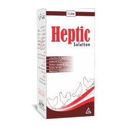1_0008_Heptic