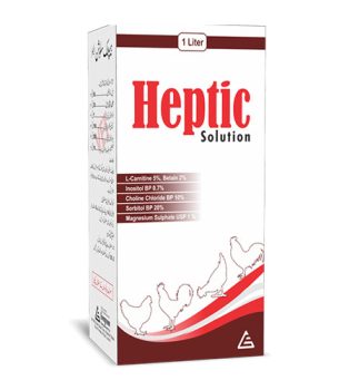 Heptic Solution