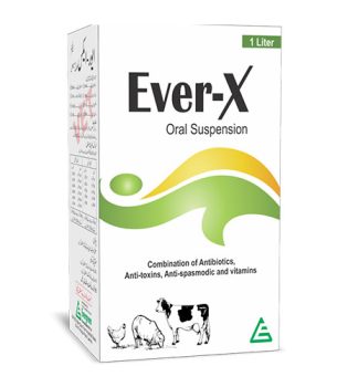 Ever – X Suspension