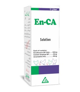 En-CA Solution