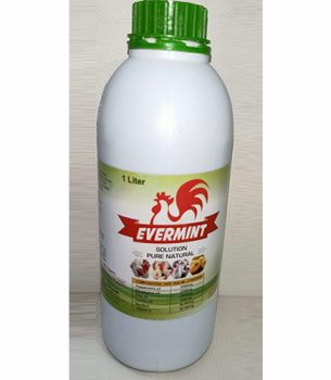 Evermint Solution