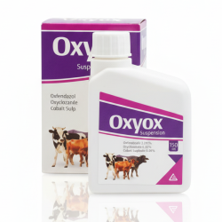 Gemini_Generated_Image_30mq4o30mq4o30mq