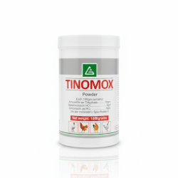 Gemini_Generated_Image_52km0x52km0x52km