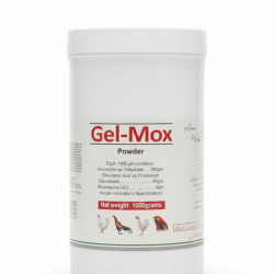 Gemini_Generated_Image_7vjjgr7vjjgr7vjj