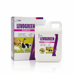 Gemini_Generated_Image_bbnh0wbbnh0wbbnh