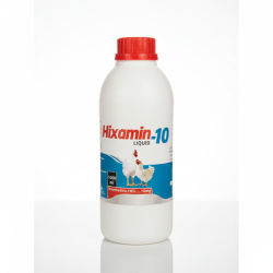 Gemini_Generated_Image_bn4ct4bn4ct4bn4c