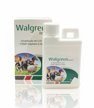 Walgreen drench