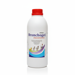 Gemini_Generated_Image_j1wzzej1wzzej1wz