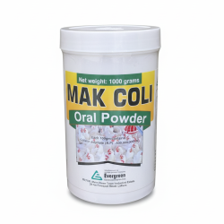 Gemini_Generated_Image_kwitfzkwitfzkwit