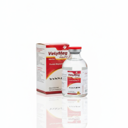 Gemini_Generated_Image_r5g9fxr5g9fxr5g9