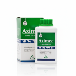 Gemini_Generated_Image_tgy3mvtgy3mvtgy3