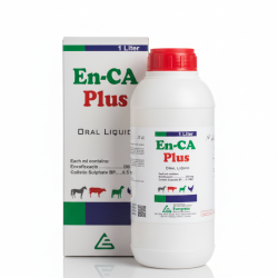 Gemini_Generated_Image_vjpsg0vjpsg0vjps