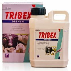 Gemini_Generated_Image_wx85h9wx85h9wx85