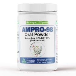 WhatsApp Image 2025-06-13 at 5.35.14 PM