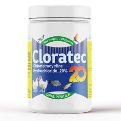 WhatsApp Image 2025-06-27 at 4.04.22 PM