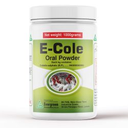 WhatsApp Image 2025-06-27 at 4.05.09 PM (3)