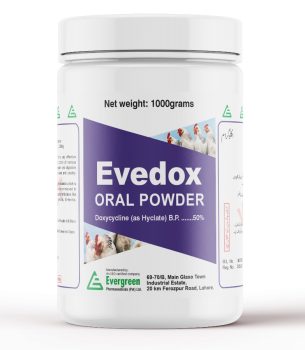 Evedox Oral powder