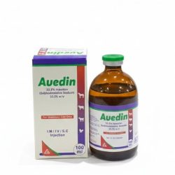 WhatsApp Image 2025-10-08 at 12.05.32 PM (1)