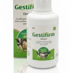 WhatsApp Image 2025-10-08 at 12.54.39 PM