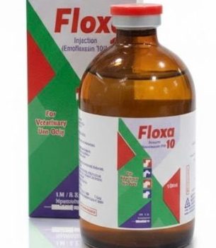 Floxa 10 Injection