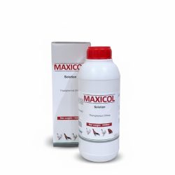 WhatsApp Image 2025-10-11 at 3.49.55 PM (1)