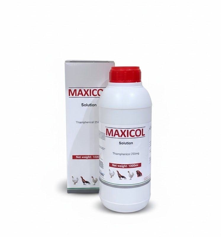 Maxiol Maxicol solution – Evergreen Pharma